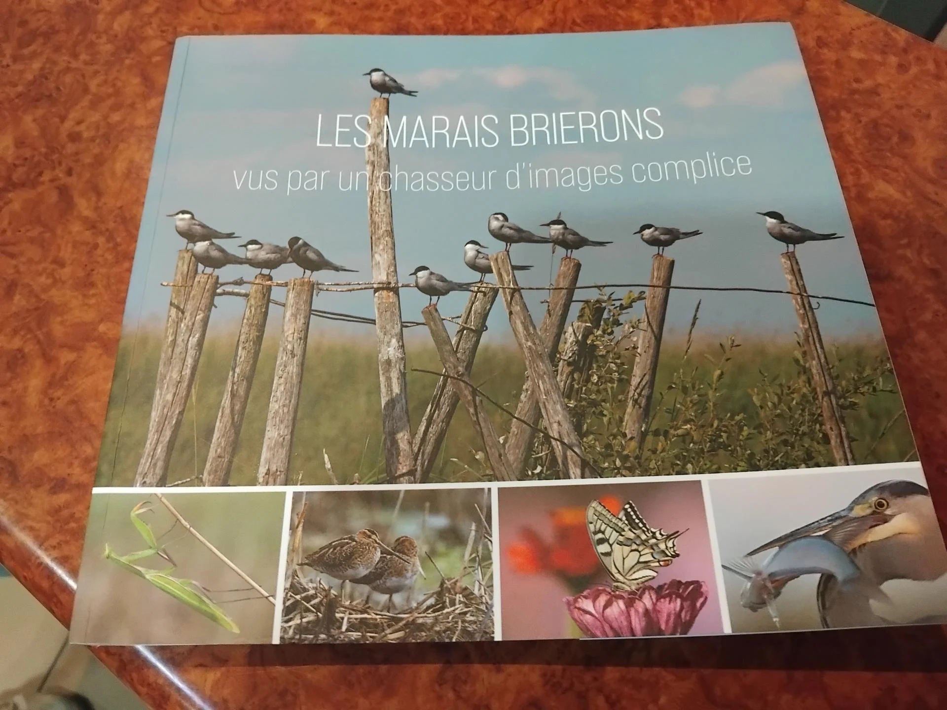Le livre sur les Marais Brierons